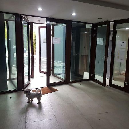 Apartment פויאנה ברשוב מראה חיצוני תמונה