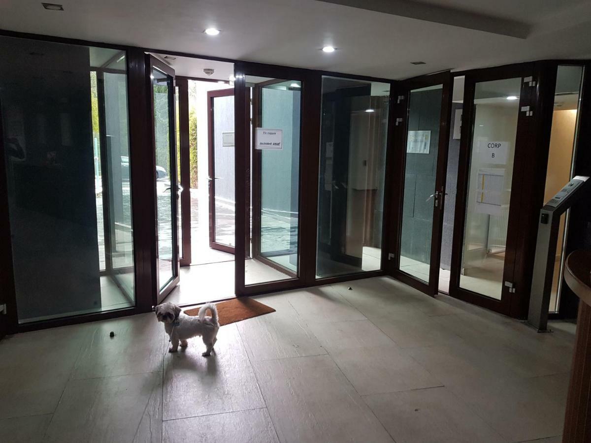 Apartment פויאנה ברשוב מראה חיצוני תמונה